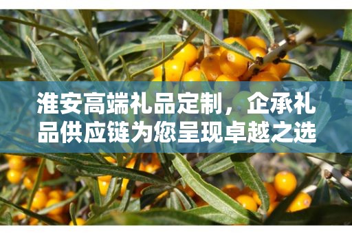 淮安高端礼品定制，企承礼品供应链为您呈现卓越之选